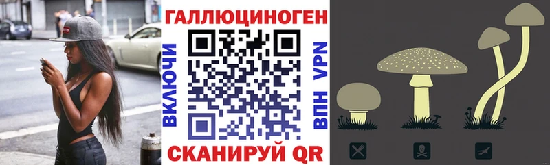 Галлюциногенные грибы прущие грибы  Ильский 